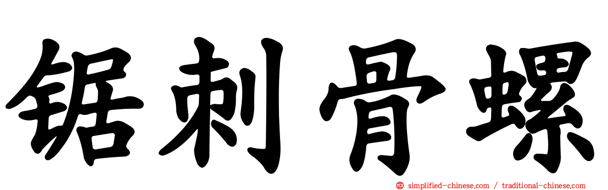 锯刺骨螺