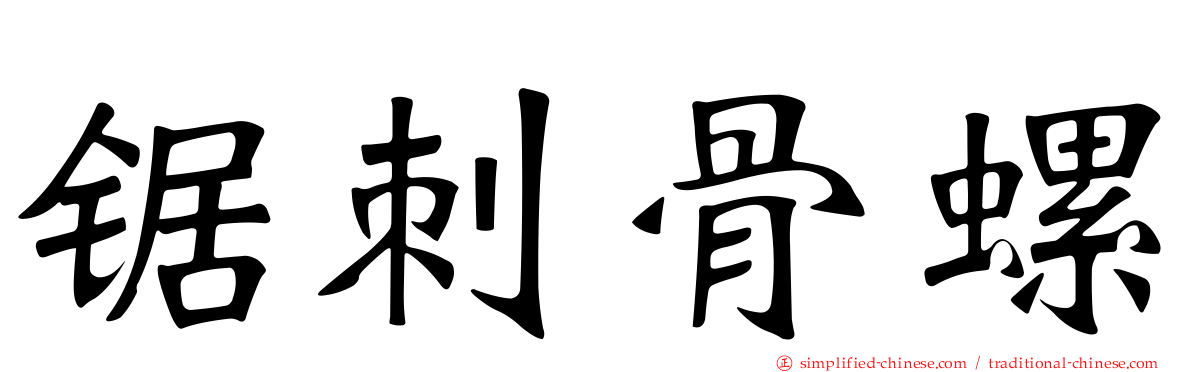 锯刺骨螺