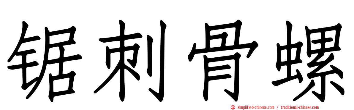 锯刺骨螺