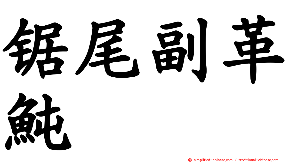 锯尾副革鲀