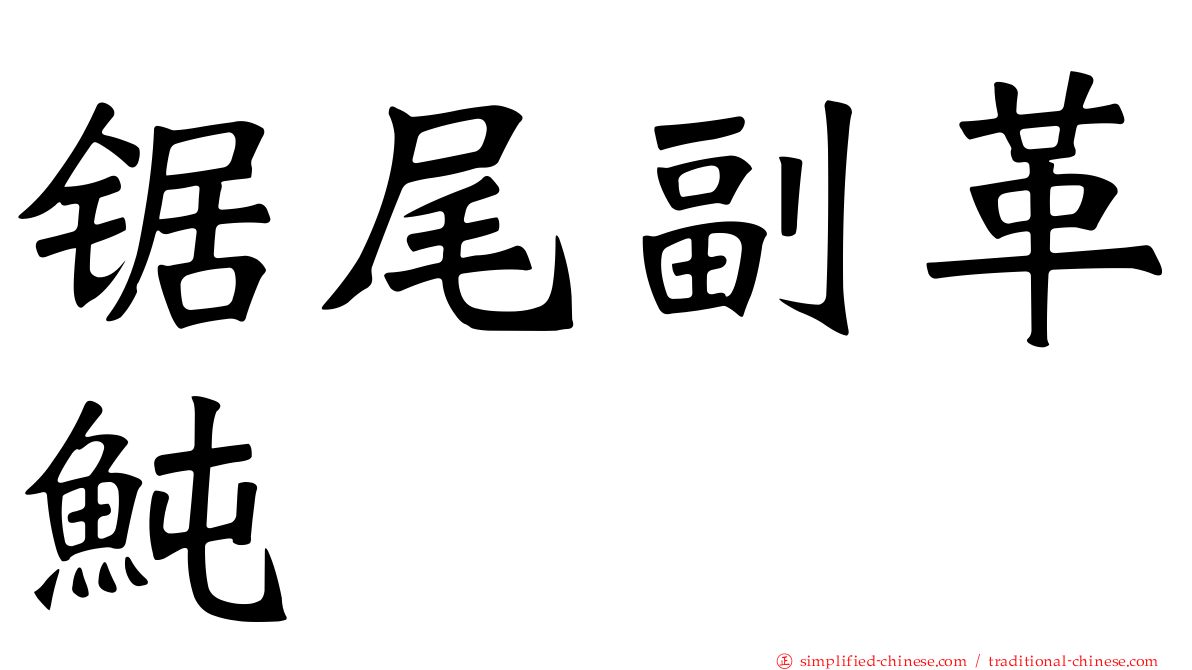 锯尾副革鲀
