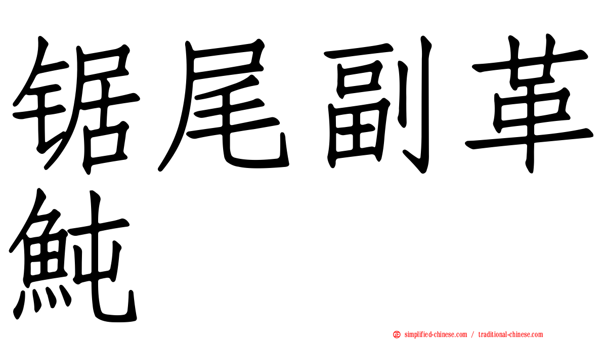 锯尾副革鲀