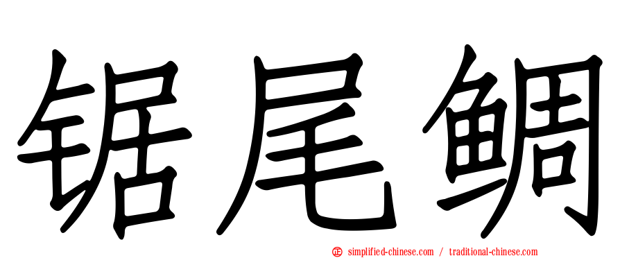 锯尾鲷