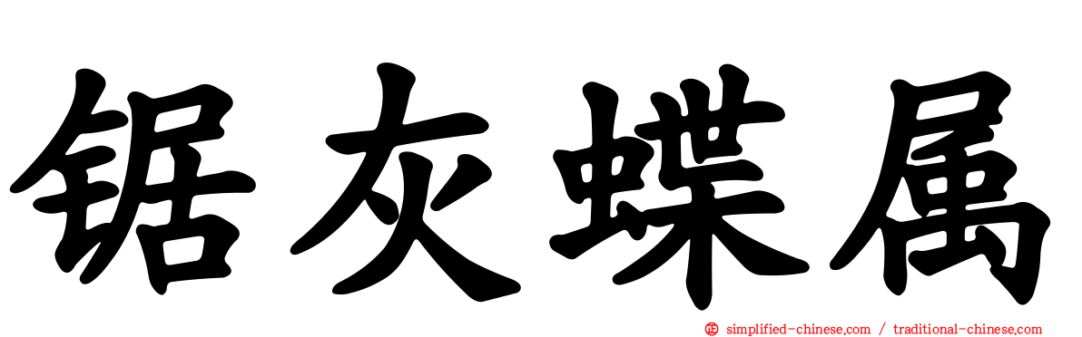 锯灰蝶属