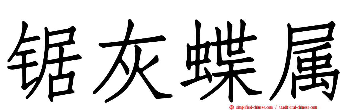 锯灰蝶属
