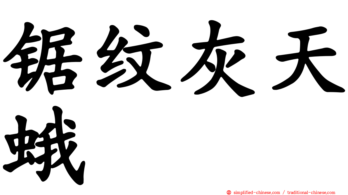 锯纹灰天蛾