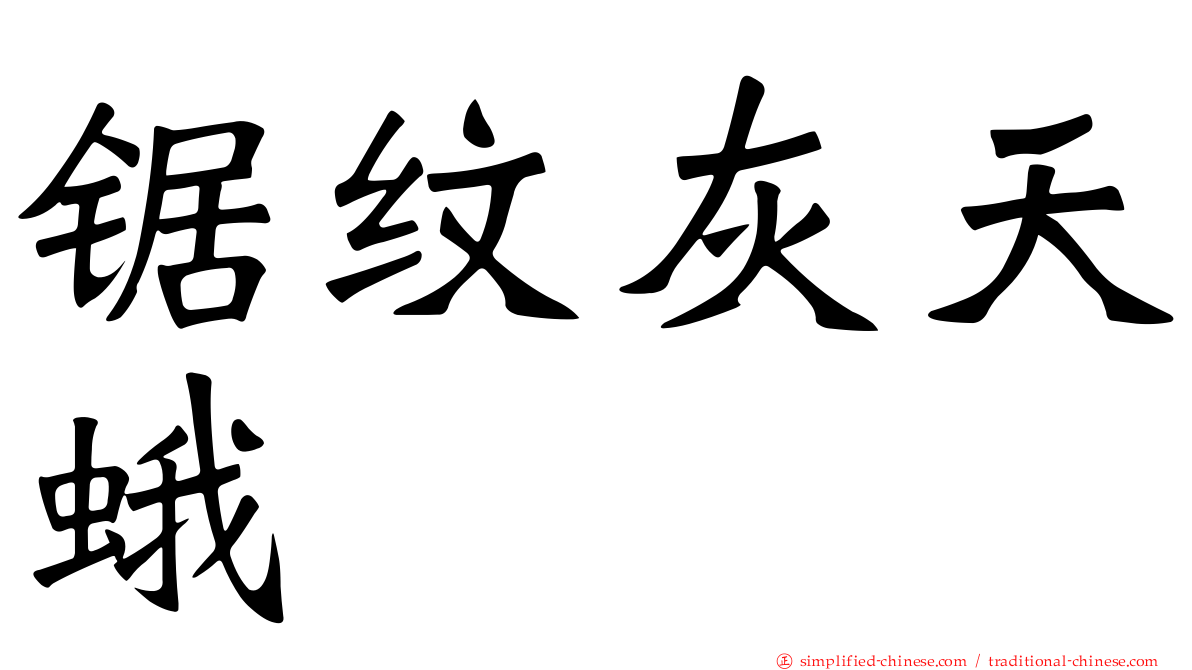 锯纹灰天蛾