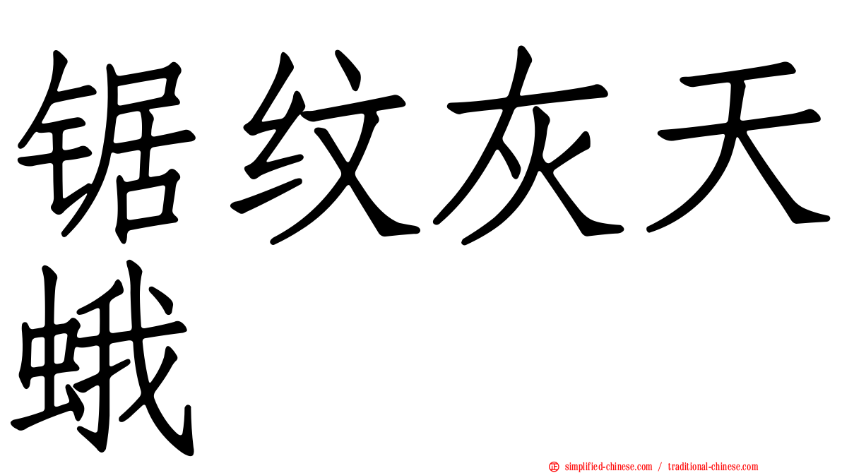 锯纹灰天蛾