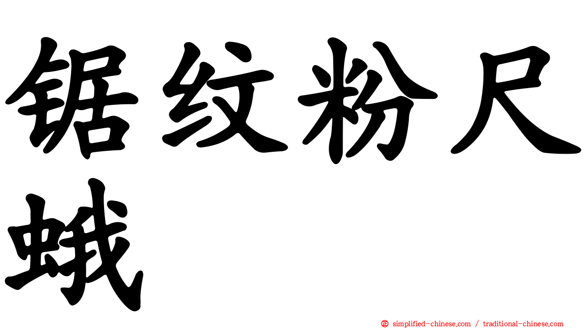 锯纹粉尺蛾