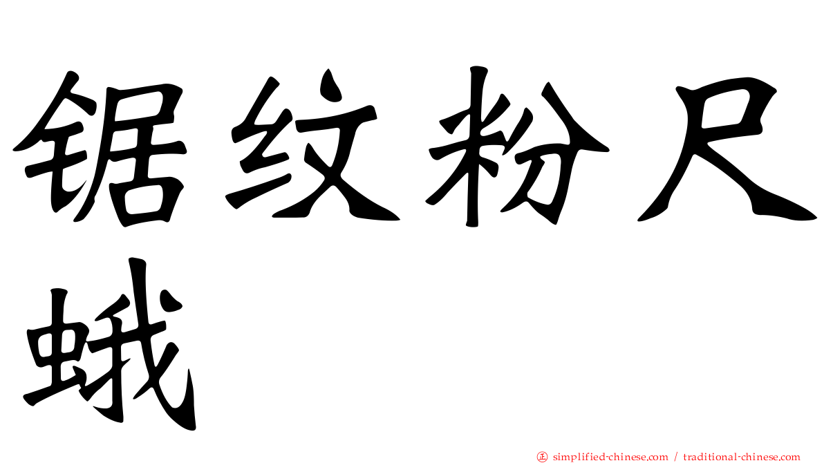锯纹粉尺蛾
