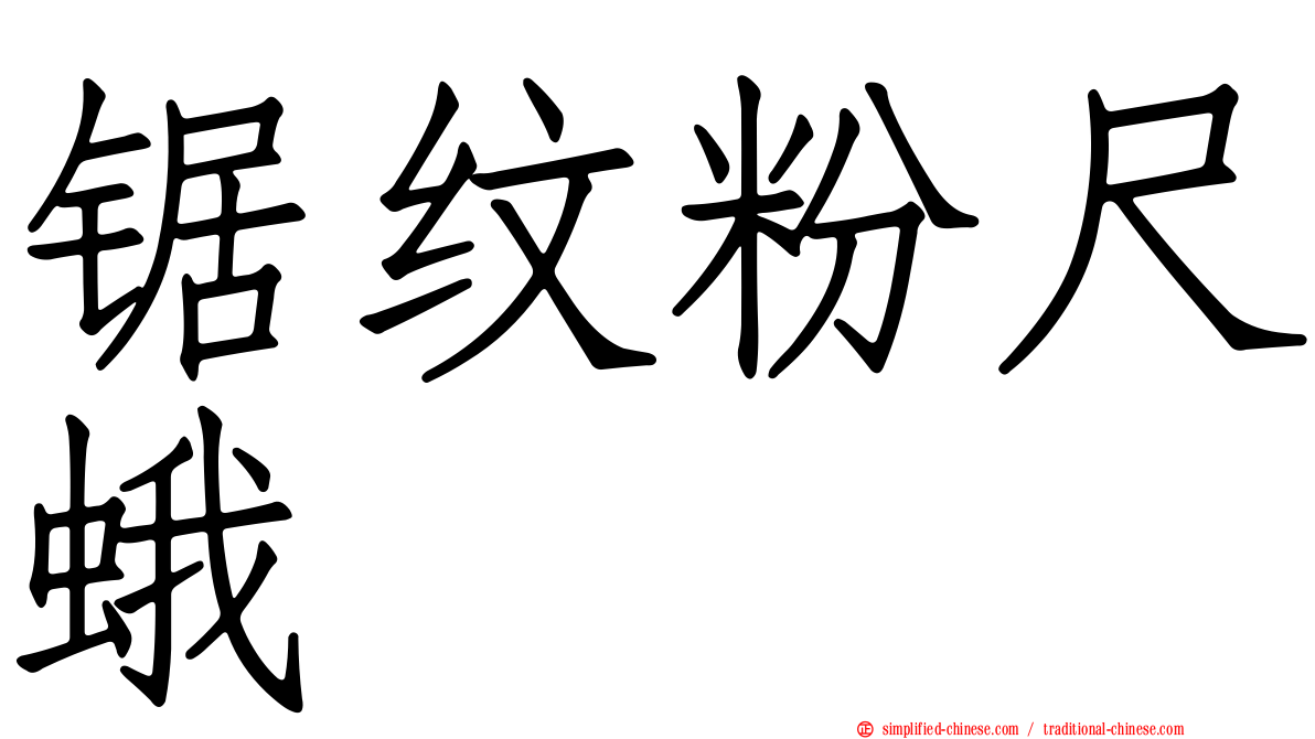 锯纹粉尺蛾