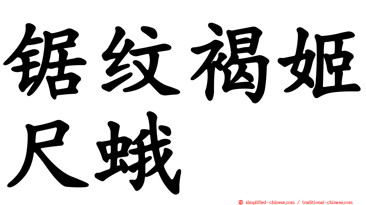 锯纹褐姬尺蛾