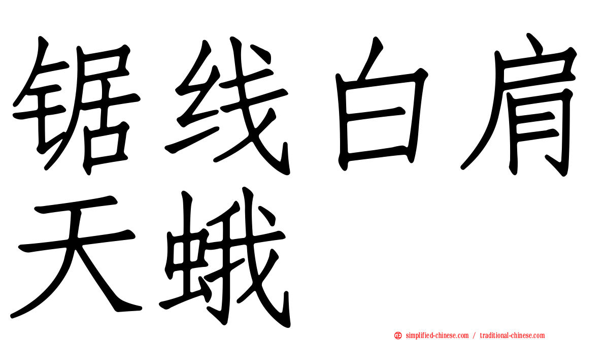 锯线白肩天蛾