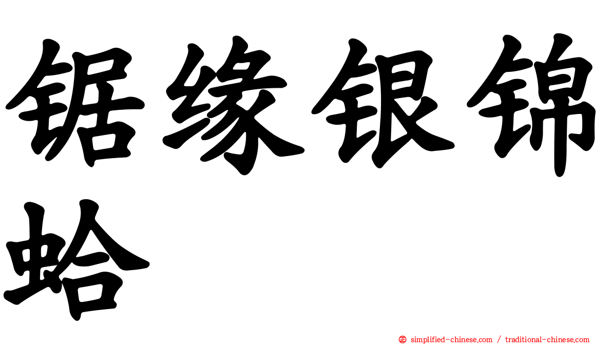 锯缘银锦蛤