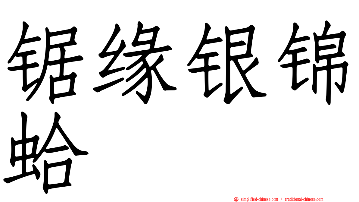 锯缘银锦蛤