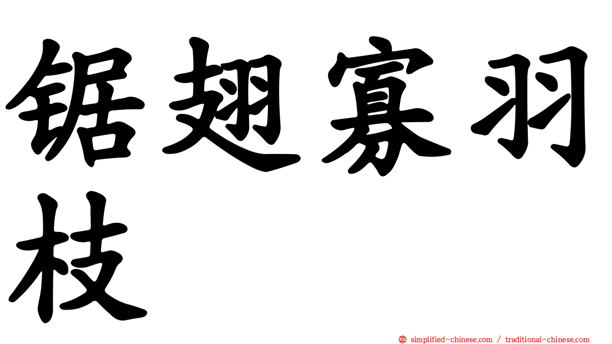 锯翅寡羽枝