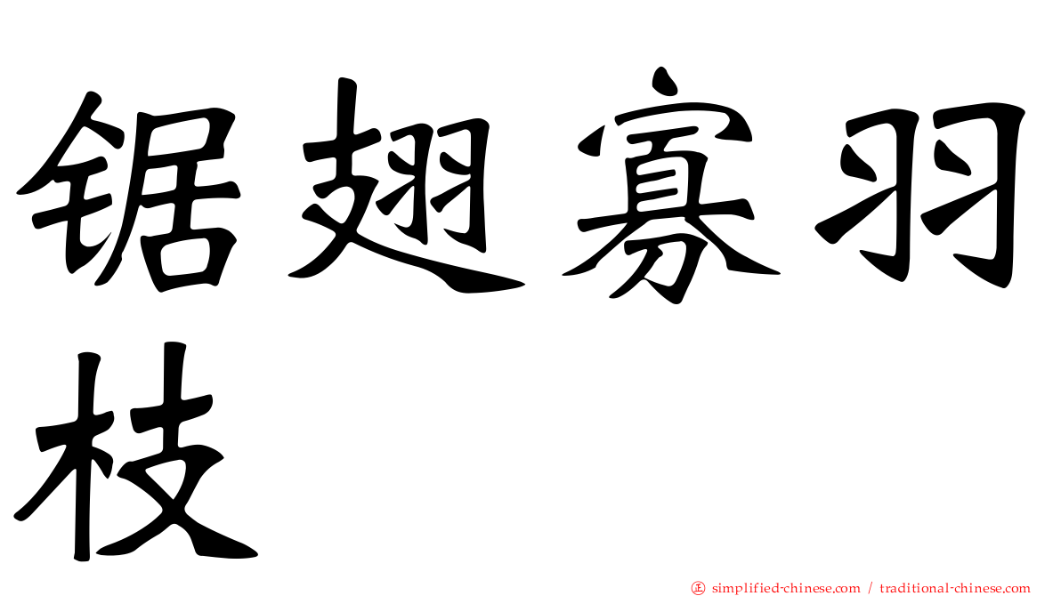锯翅寡羽枝
