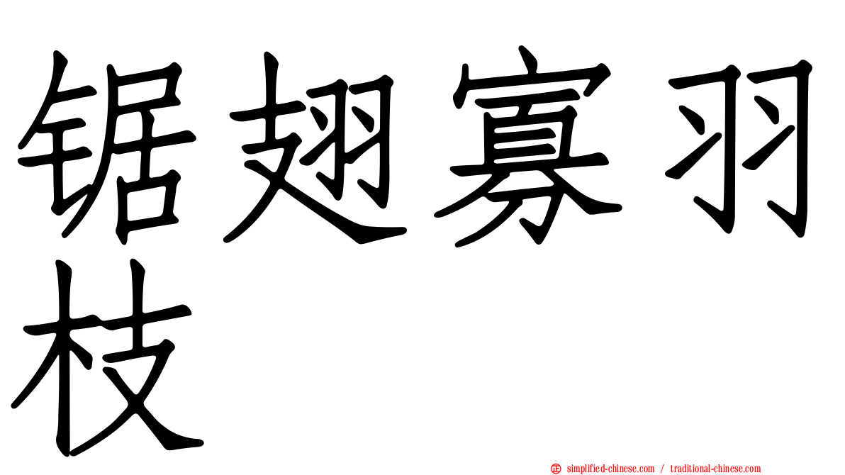 锯翅寡羽枝