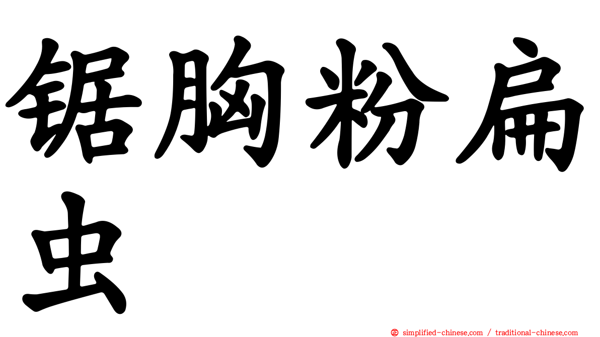 锯胸粉扁虫