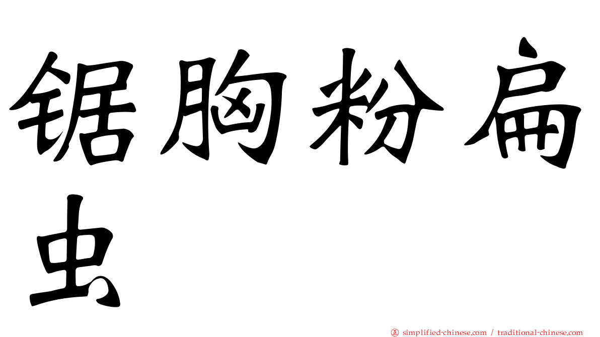锯胸粉扁虫