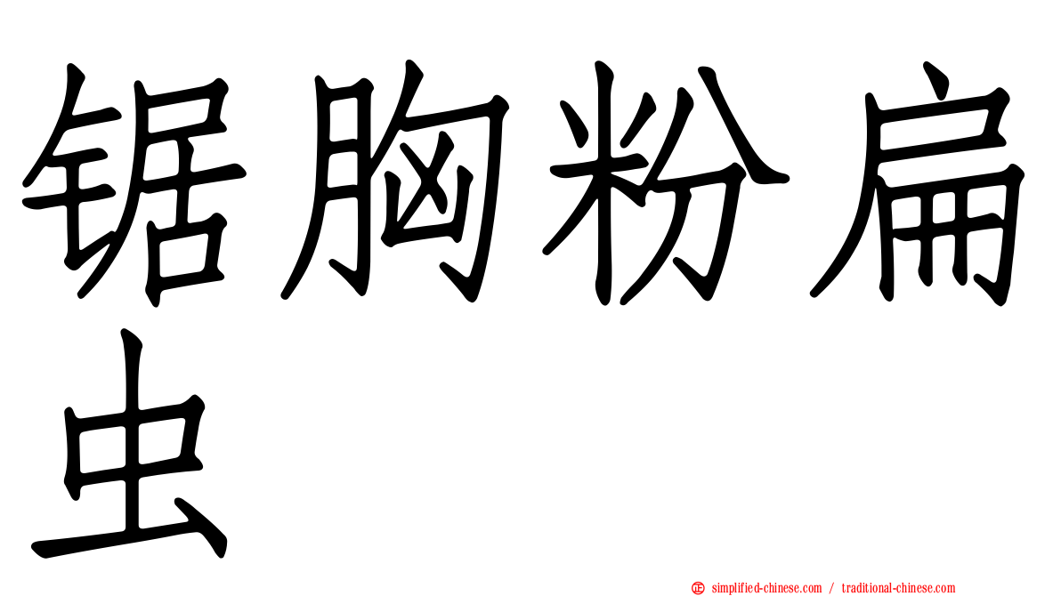 锯胸粉扁虫