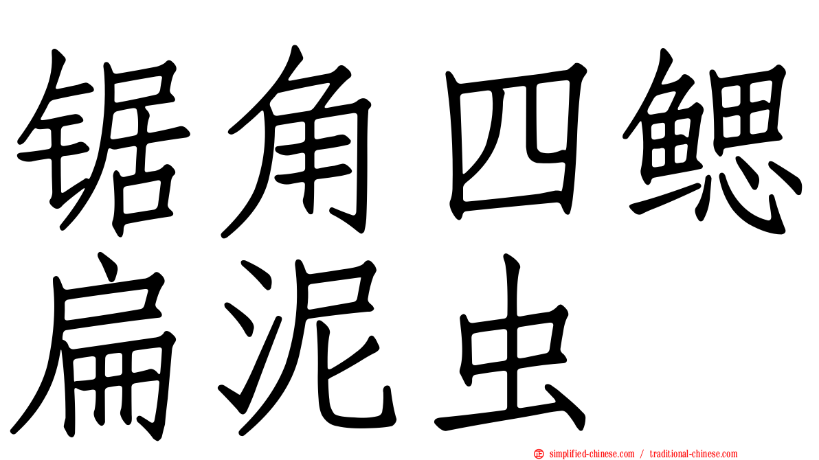 锯角四鳃扁泥虫