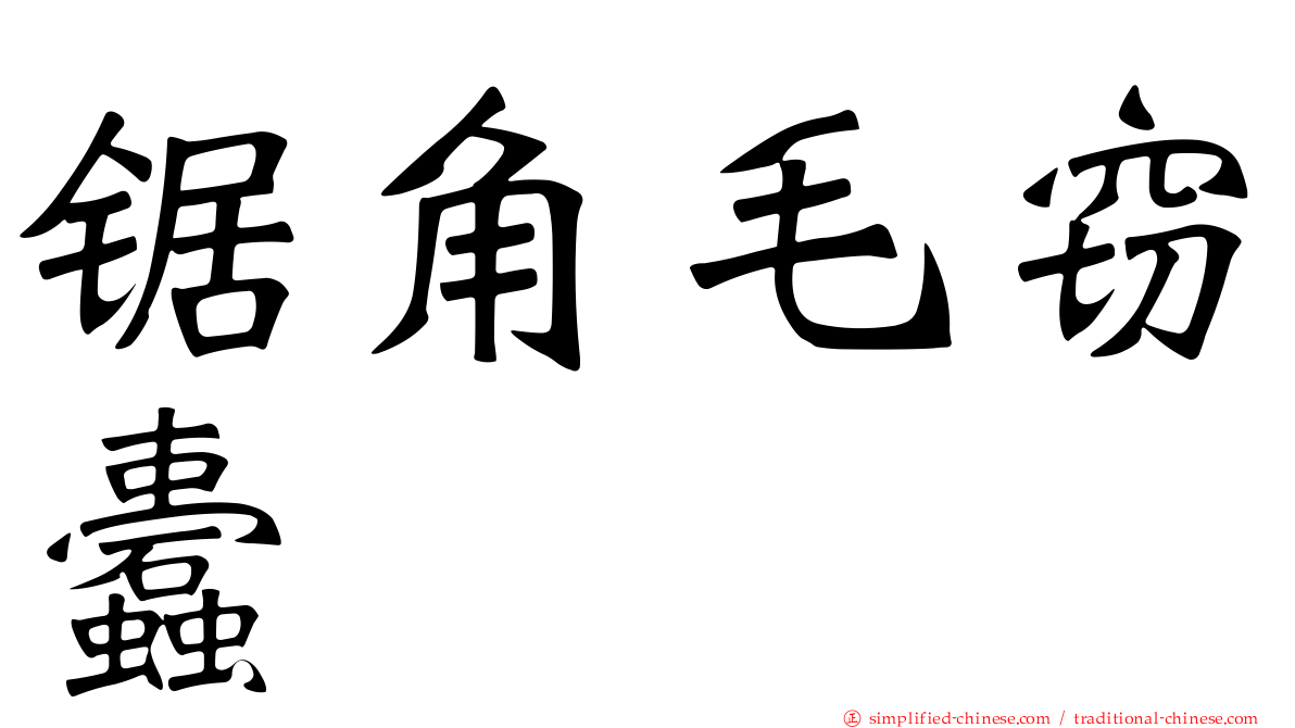 锯角毛窃蠹