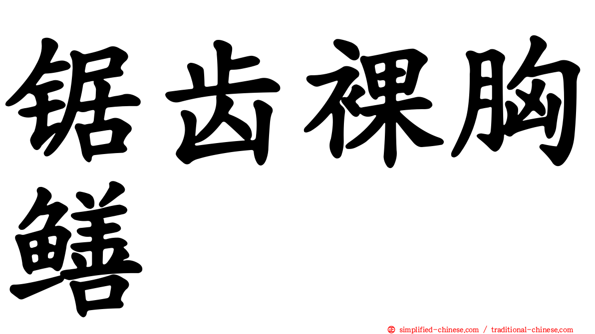 锯齿裸胸鳝