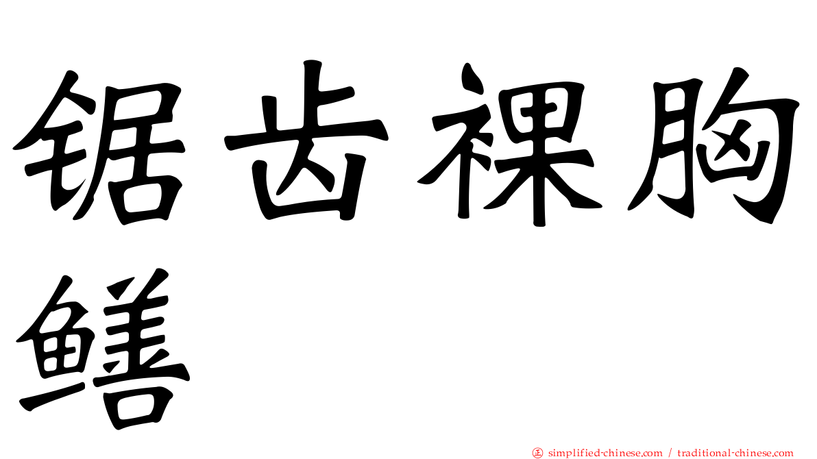 锯齿裸胸鳝
