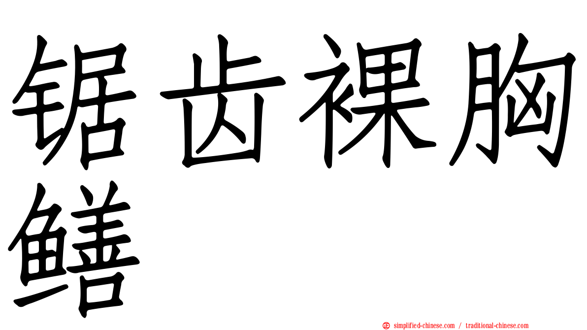 锯齿裸胸鳝