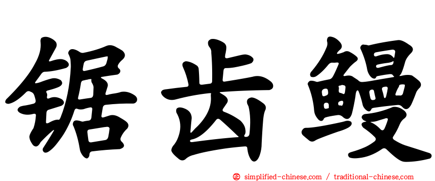 锯齿鳗