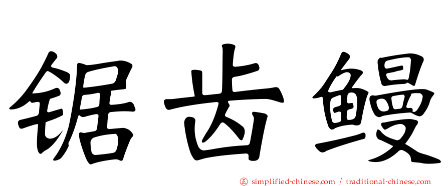 锯齿鳗