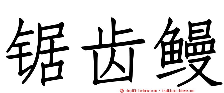 锯齿鳗