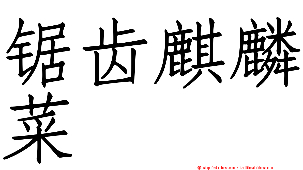 锯齿麒麟菜
