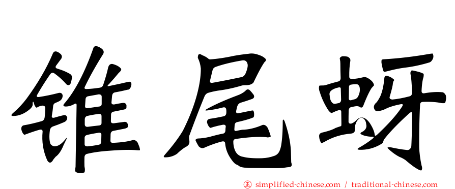 锥尾蚜