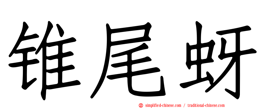 锥尾蚜