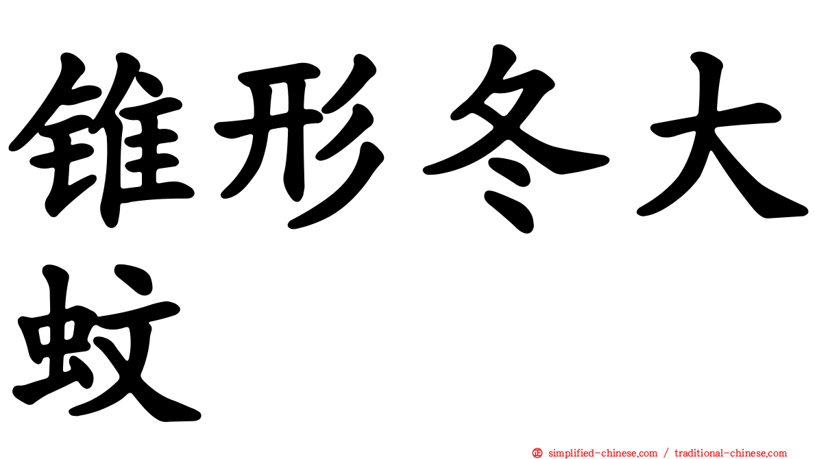 锥形冬大蚊