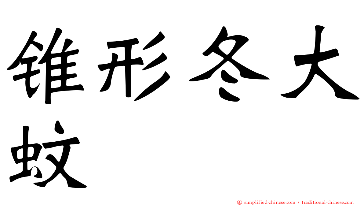 锥形冬大蚊