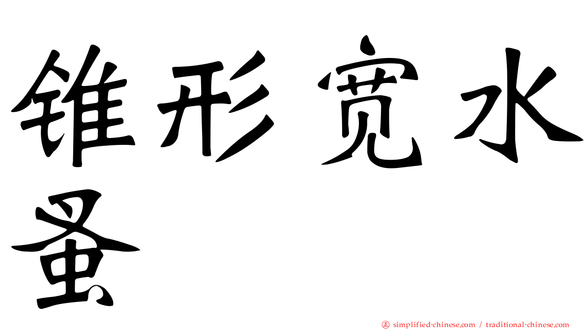 锥形宽水蚤
