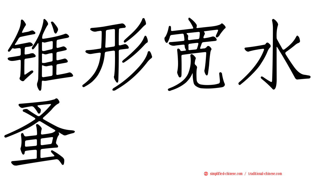 锥形宽水蚤