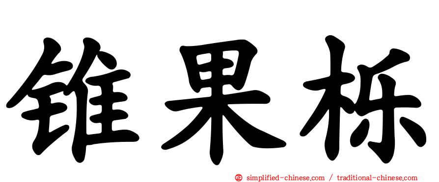 锥果栎