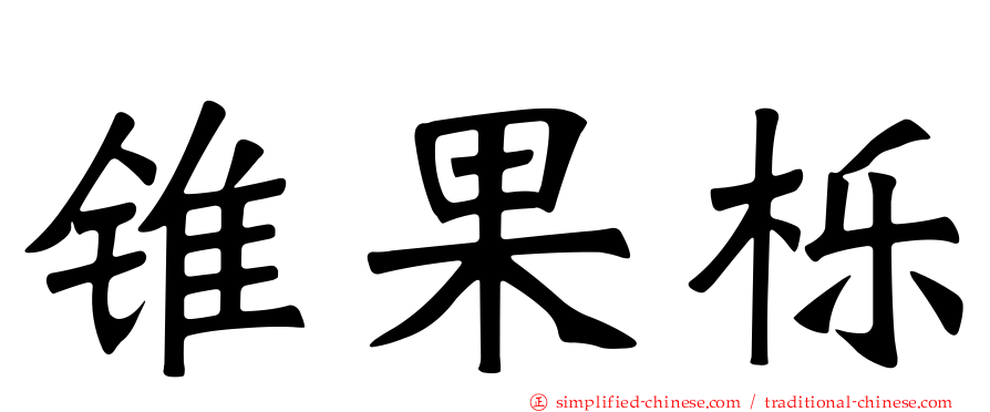 锥果栎