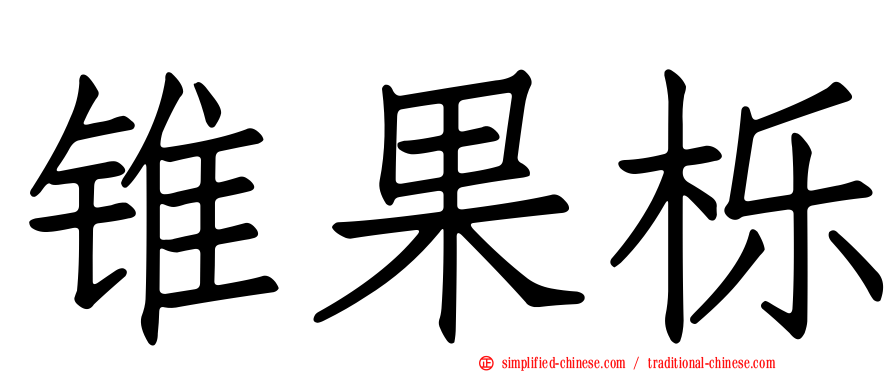 锥果栎
