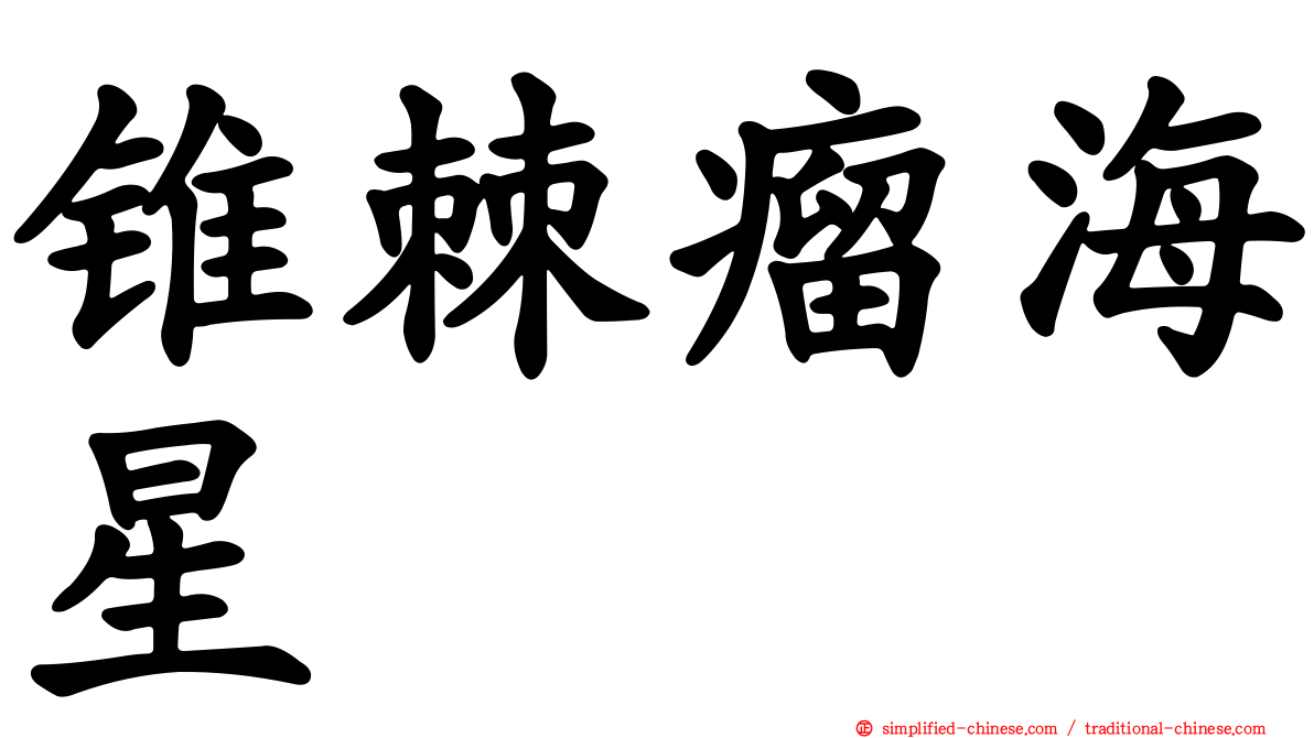 锥棘瘤海星