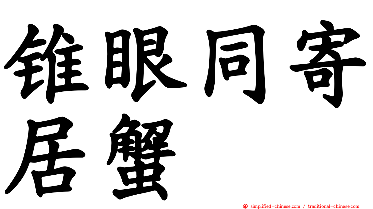 锥眼同寄居蟹