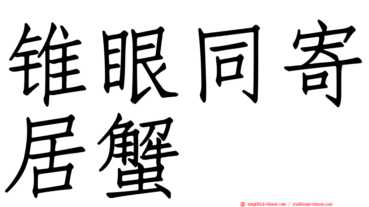 锥眼同寄居蟹