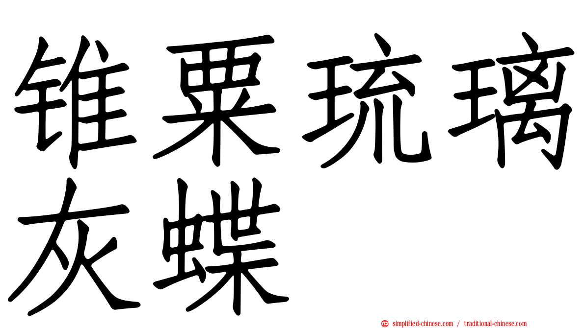 锥粟琉璃灰蝶