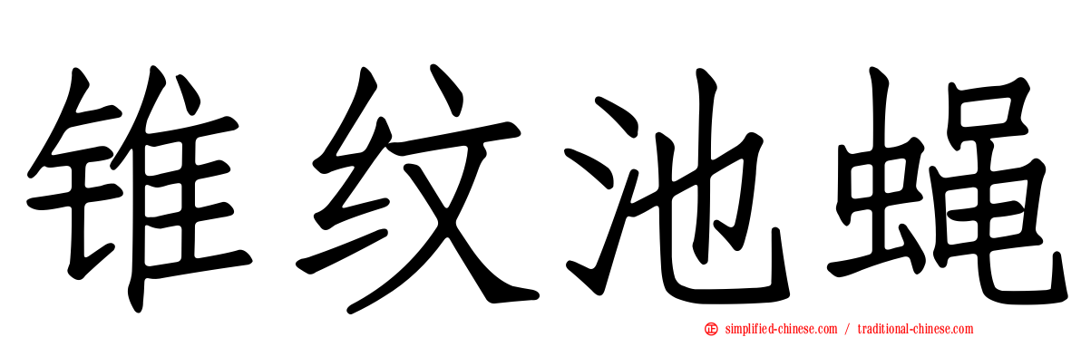锥纹池蝇