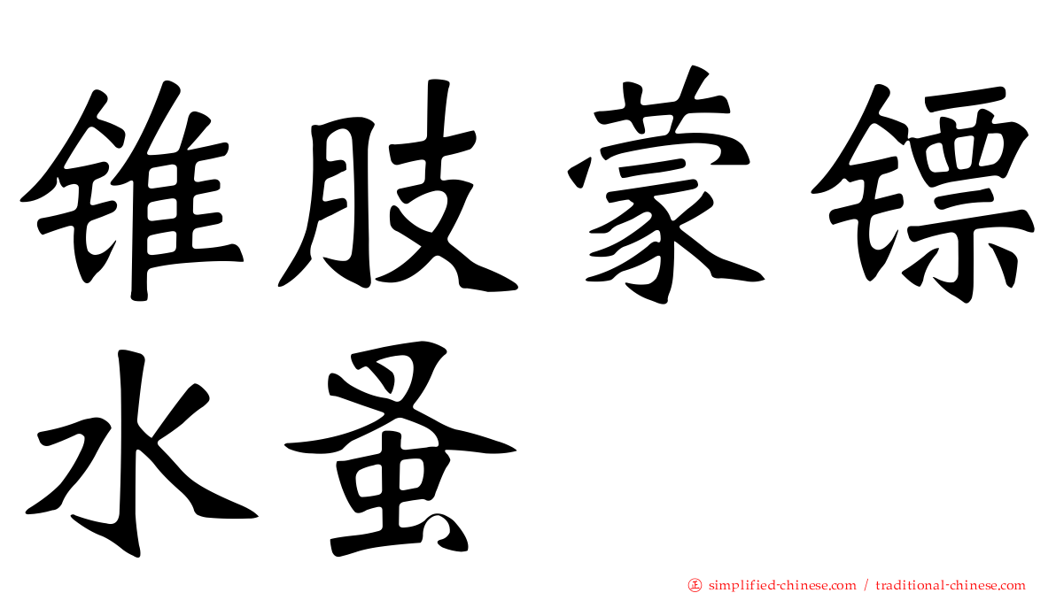 锥肢蒙镖水蚤