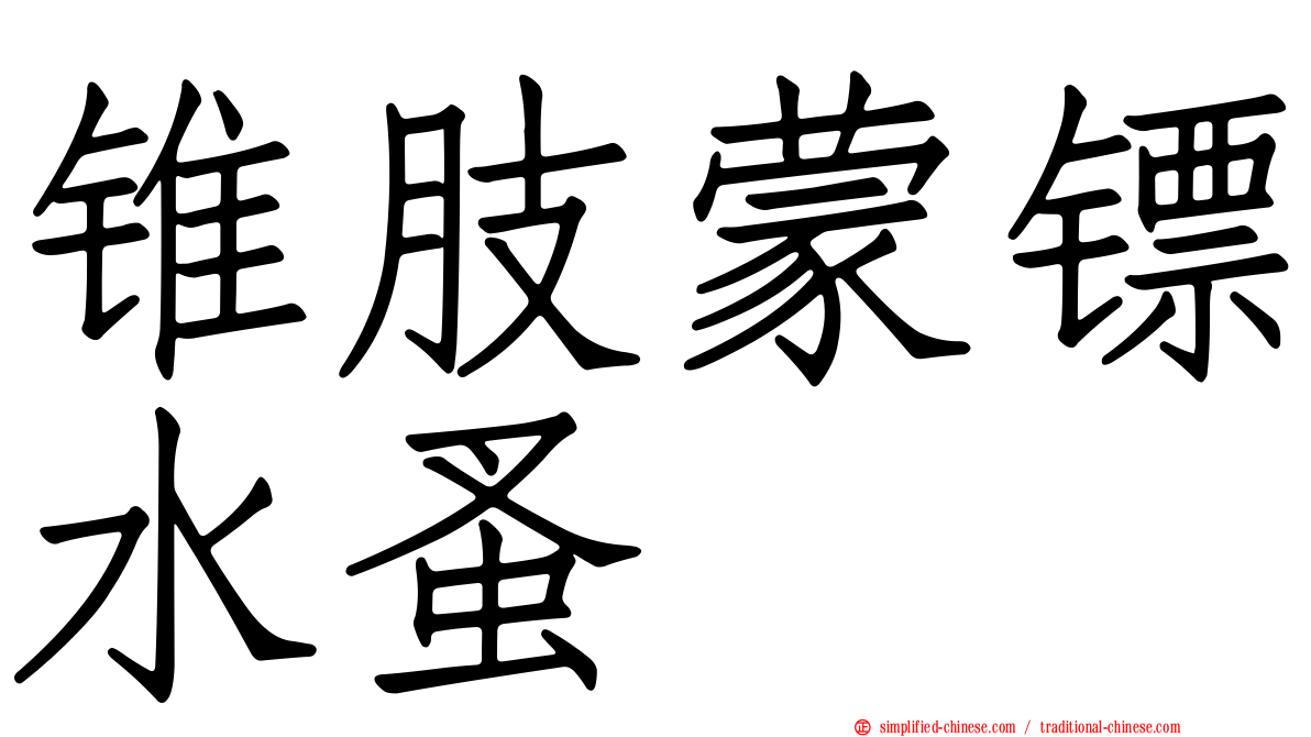锥肢蒙镖水蚤